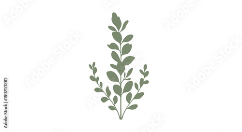 Minimalist plant illustration featuring slender stem and staggered green leaves, side view