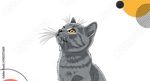 Detailed illustration of a gray cat looking upwards with curious eyes, set against an abstract and geometric background.