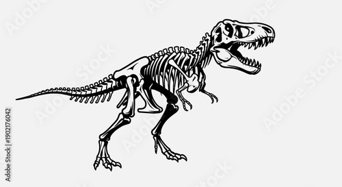 Detailed black and white illustration of a Tyrannosaurus Rex skeleton, showcasing its powerful structure and prehistoric form.