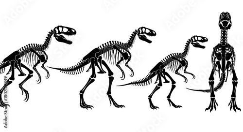Collection of detailed black and white illustrations of dinosaur skeletons from various angles, showcasing their skeletal structures.