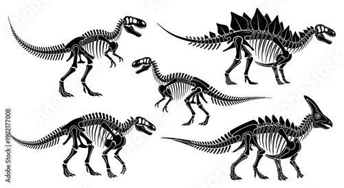 Collection of five detailed black and white dinosaur skeletons, showcasing diverse prehistoric creatures.