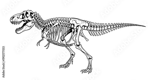 A detailed black and white illustration of the skeletal structure of a Tyrannosaurus Rex dinosaur, showcasing its powerful build and iconic features.