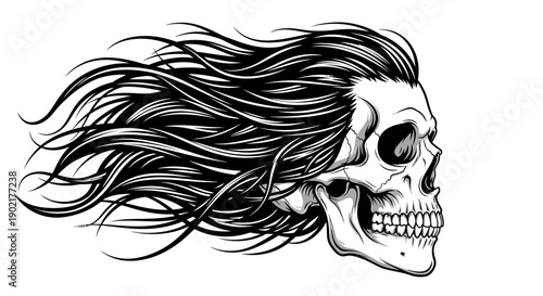 A detailed black and white illustration of a human skull with long, flowing hair blowing in the wind.