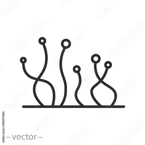 Fungus mold line icon vector