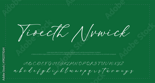 Hand drawn vector alphabet. Modern monoline signature script font. Elegant Signature Font. Best Alphabet Beautiful Calligraphy Signature Font. vector illustration 