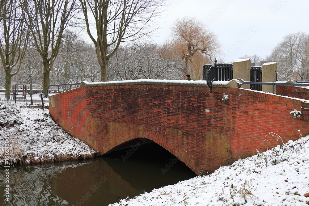 custom made wallpaper toronto digitalErasmuspark Entrance Bridge with Snow in Amsterdam, Netherlands
