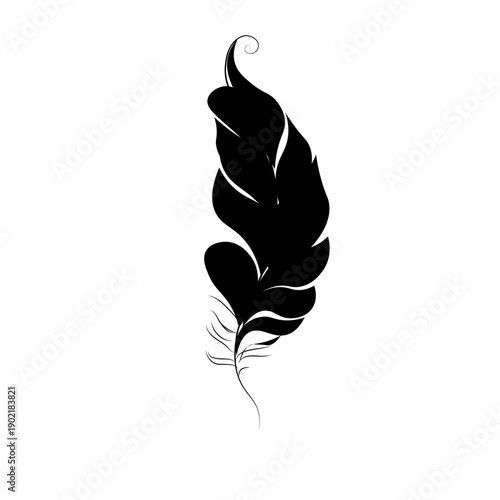 minimalist, black silhouette bird quill shape feather. 