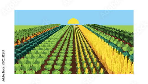 Adobe Illustrator Artwork