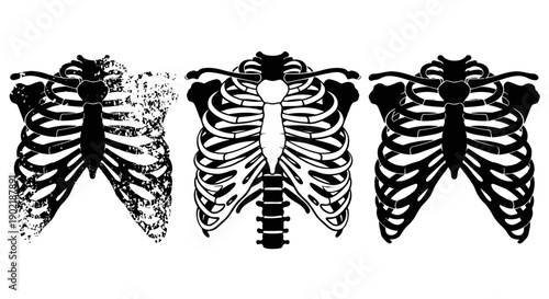Three stylized black and white illustrations of human rib cages, showcasing anatomical detail and artistic variations.