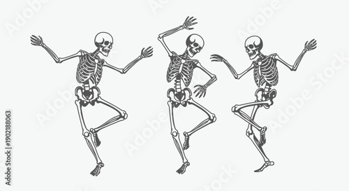 Three dancing skeletons in various dynamic poses, illustrating a fun and spooky theme.
