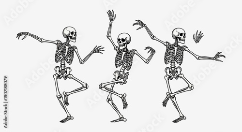 Three cartoon skeletons dancing joyfully in a line, with various poses and raised arms, on a plain white background.