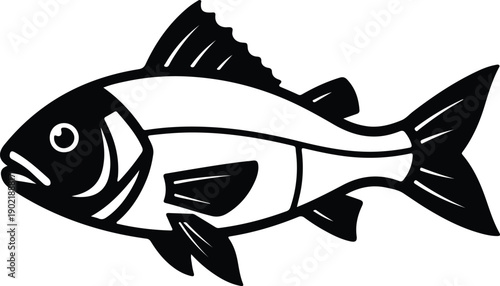 silhouette aquatic sea fish icon isolated on white background vector design