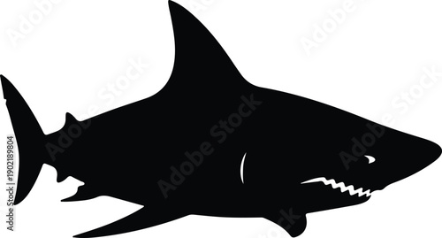 silhouette of a powerful great white shark predator for ocean vector design