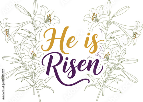 Elegant religious graphic featuring a detailed hand drawn illustration of white easter lilies framing the joyful message he is risen in script font