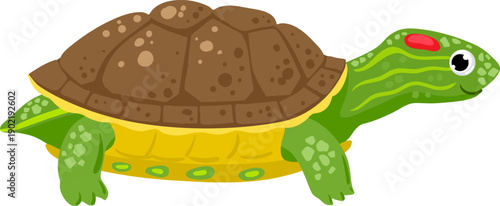 Cartoon turtle illustration walking displaying green shell