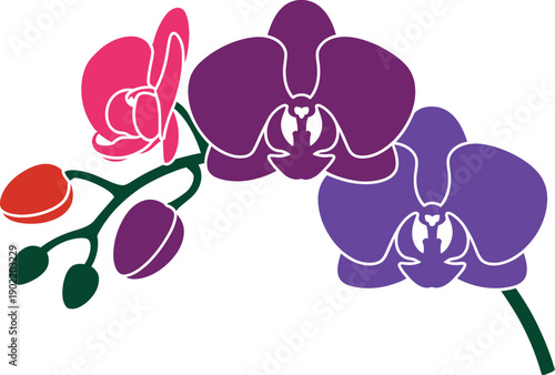 Vibrant purple and pink orchids with green stem
