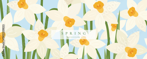 Modern Spring  banner, greeting card, cover, poster with white daffodil in blue background. Floral art template for sale, Womens Day, Mothers Day, March 8, Easter, birthday.