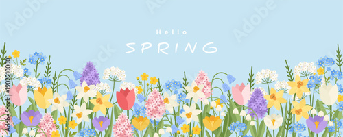 Spring  banner, card, cover with tulip, daffodil, crocus, hyacinth, bluebell, daisy, lily of the valley, forget me not flowers. Floral art template for sale, Womens Day, Mothers Day, Easter, birthday
