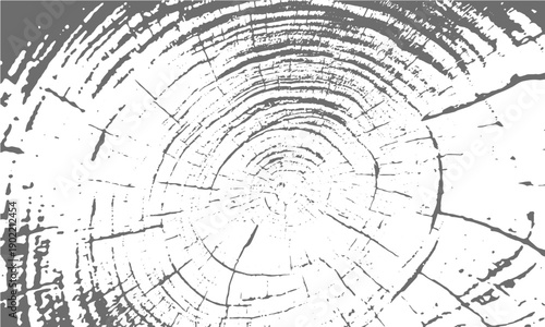 Rustic tree rings texture grunge wood background
Natural wood log cross section rings vector design