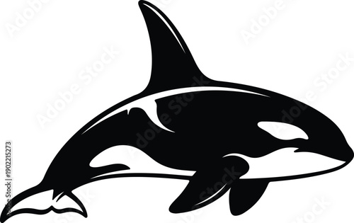 silhouette powerful killer whale swimming ocean marine animal abstract vector design