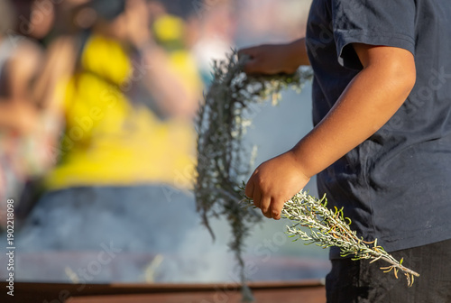 Kid hands with green branches, smoking ritual dish, Australian aboriginal smoking ceremony, ritual rite at an indigenous community event