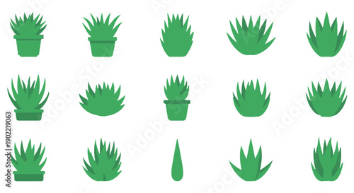 Collection of green aloe vera plants and leaves in pots, flat design icons