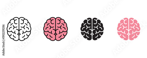 Human brain anatomy icon vector. Neurology healthcare and psychological intelligence symbol. Vector illustration.
