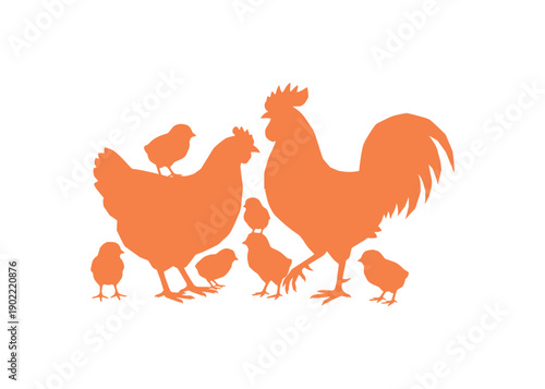 A white canvas showcasing a colorful collage of the chicken family in vector style
