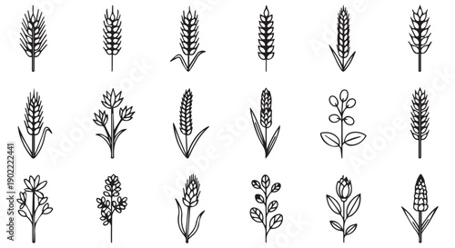 Collection of various wheat and plant icons in black and white for design and decoration purposes.