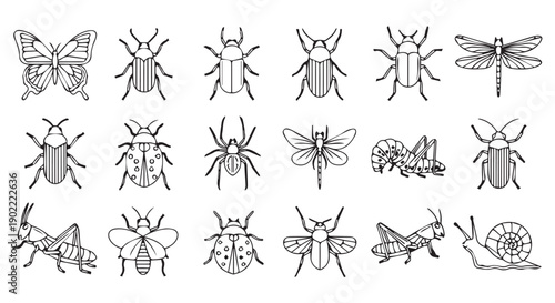 Collection of various insects and bugs in black and white line art, including beetles, dragonflies, and grasshoppers.