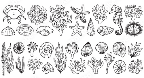 Black and white illustration set of various ocean creatures and coral reef elements for design and decoration