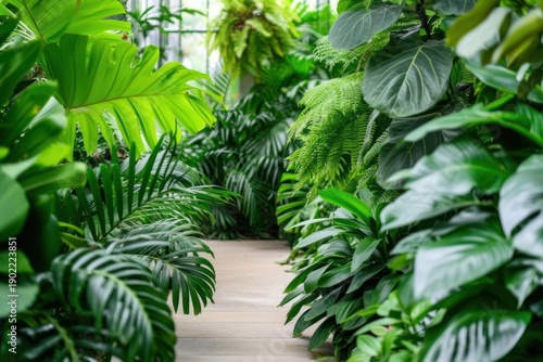 Indoor garden backgrounds vegetation outdoors.