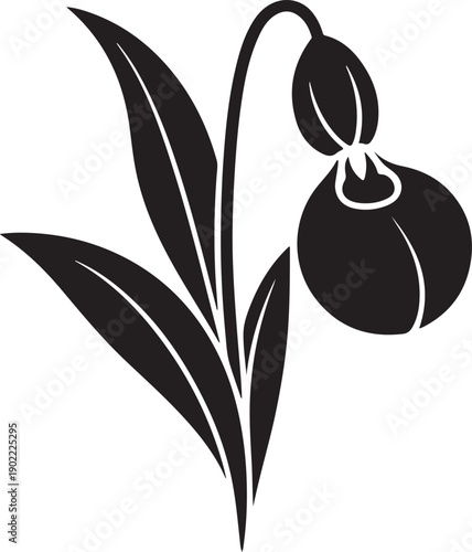Black Silhouette of a Lady Slipper Orchid Bud with Leaves on White Background