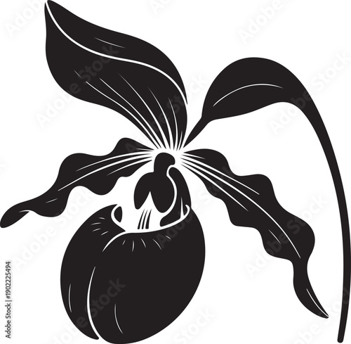 Elegant Black Silhouette of a Lady Slipper Orchid Flower with Detailed Petals