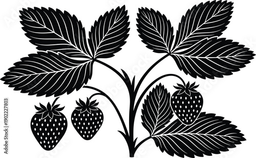 Black strawberry plant silhouette with leaves and fruit botanical illustration natural garden foliage design vintage engraving style isolated on white background for decoration and branding