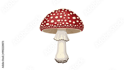 Iconic red fly agaric mushroom with white spots stands prominently against a white background as a classic symbol of forest nature and fantasy lore.