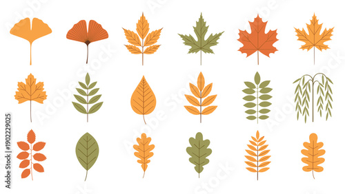 Comprehensive collection of various colorful autumn leaves in shades of orange, green, and yellow displayed on a white background.