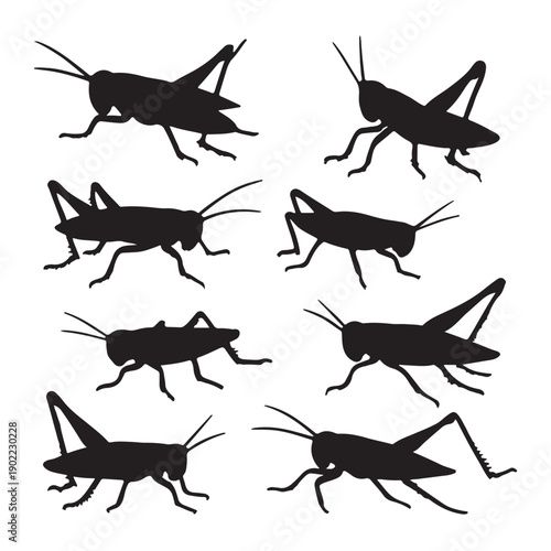 Black silhouettes of various grasshoppers and crickets on a plain white background