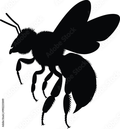 Bee silhouette illustration isolated on white background, flying honeybee insect shape, nature, wildlife, pollination concept, black vector style for design use