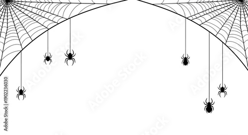 Spooky Halloween Spiderwebs with Hanging Spiders on a White Background