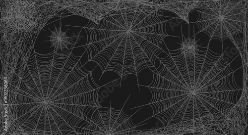 Abstract Dark Background with Detailed Spider Web Overlay and Empty Space