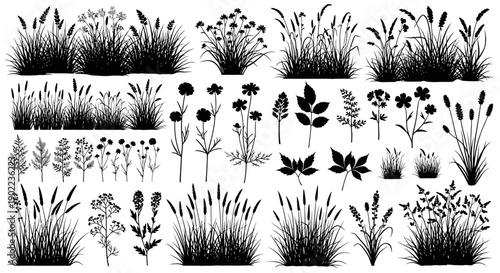 Collection of Diverse Wild Grasses and Wildflower Silhouettes for Nature and Botanical Design