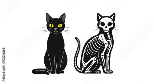 Black Cat and Skeleton Cat Sitting Side by Side on White Background, Halloween Concept
