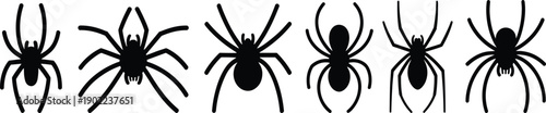 Six black spider silhouettes arranged in a horizontal line, each with unique body shapes and leg positions, symbolizing arachnid diversity, entomology, Halloween, and artistic design.