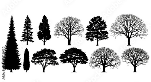 A collection of diverse tree silhouettes, showcasing various shapes and sizes, including coniferous and deciduous varieties.
