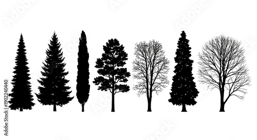 A collection of diverse tree silhouettes, showcasing various shapes and species from coniferous to deciduous.