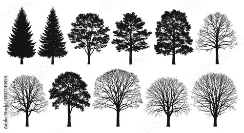 A collection of diverse tree silhouettes, showcasing various species and seasonal changes with both evergreen and deciduous varieties.