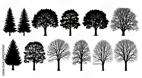 A collection of diverse tree silhouettes, showcasing various species and seasonal appearances, including evergreen and deciduous types.