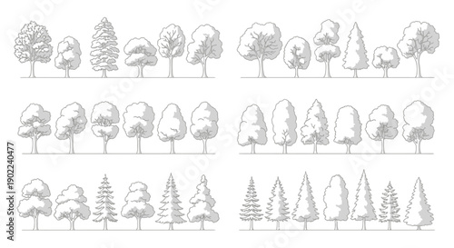 A collection of various types of trees, including deciduous and coniferous varieties, presented in a stylized, hand-drawn aesthetic.