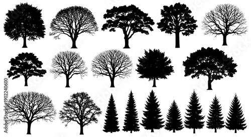 A collection of diverse tree silhouettes, showcasing a variety of deciduous and coniferous species in black and white.